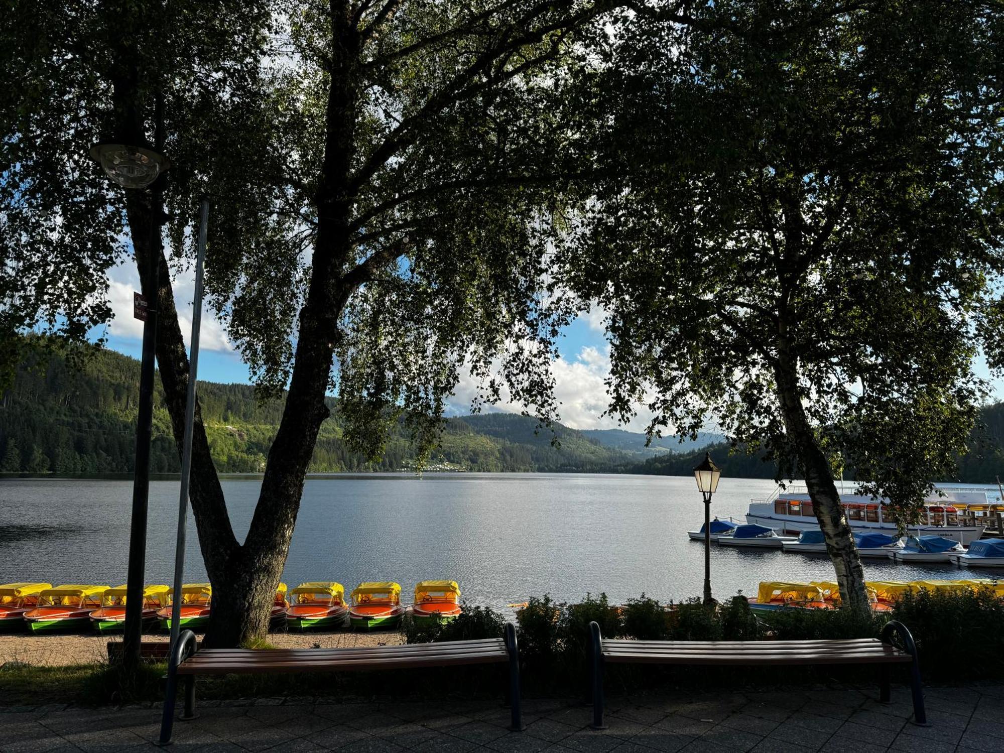 Panoramablick Mit Privatparkplatz, 2 Balkone Und 1,5 Baeder Lejlighed Titisee-Neustadt Eksteriør billede